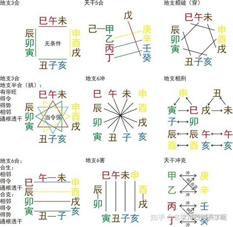 丑未|十二地支—未土